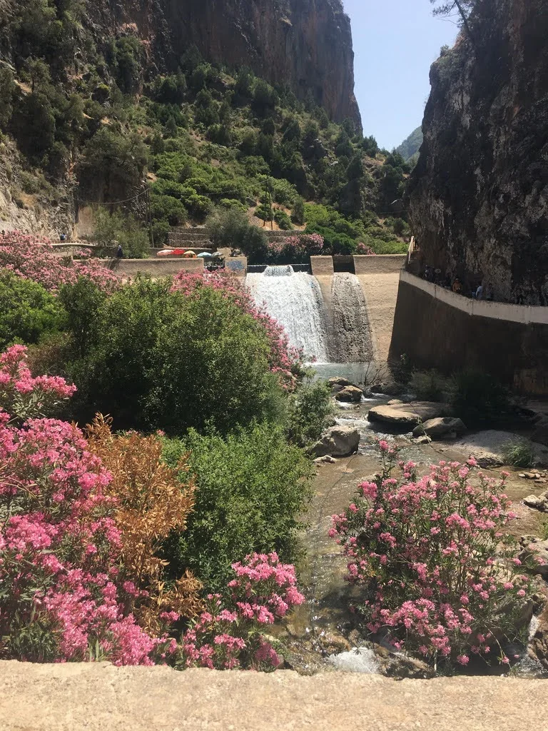 مجرى مائي في أقشور