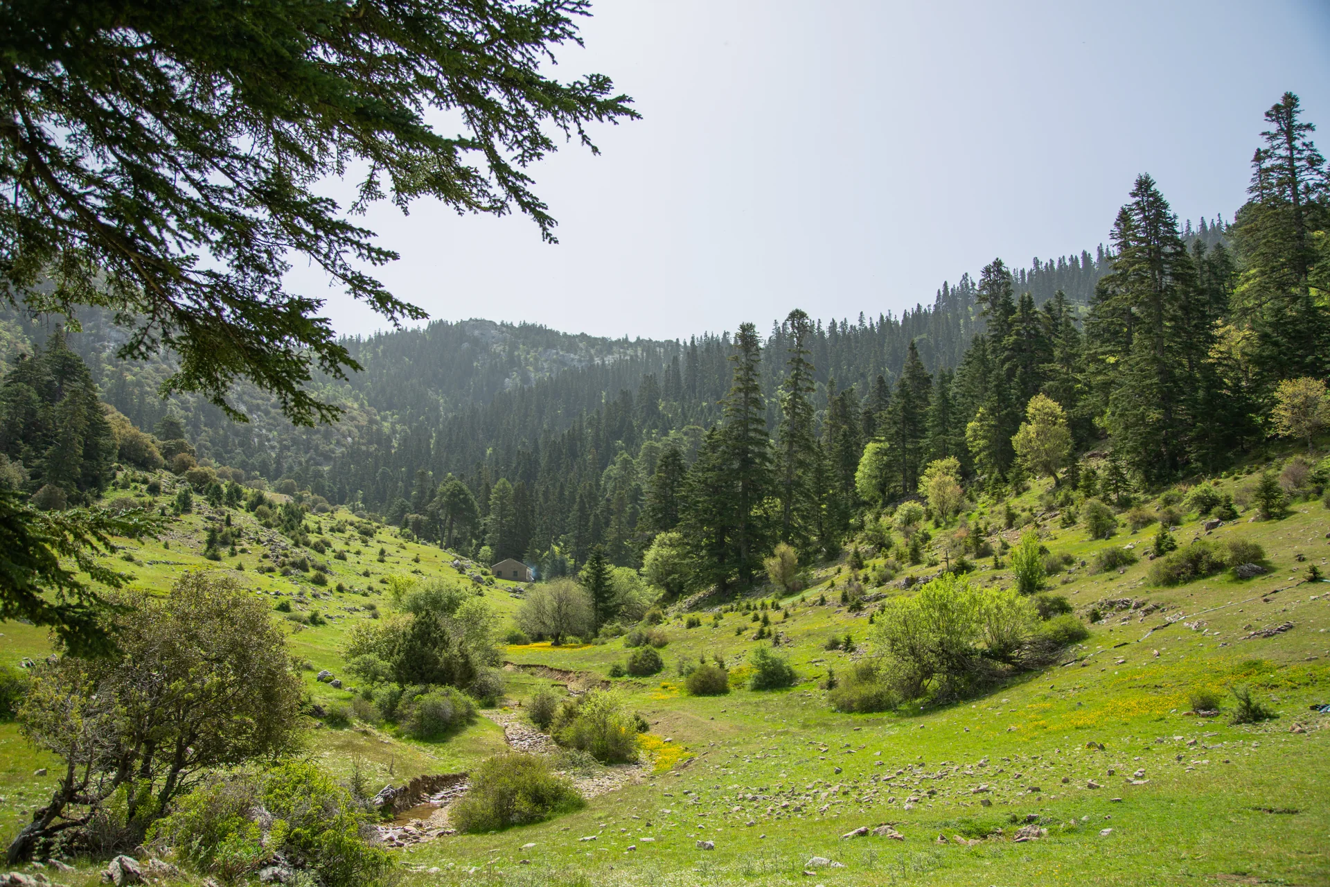 منتزه تلاسمطان الوطني